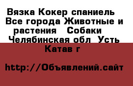 Вязка Кокер спаниель - Все города Животные и растения » Собаки   . Челябинская обл.,Усть-Катав г.